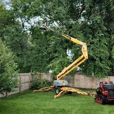 Best Lawn Pest Prevention  in Goodlettsville, TN