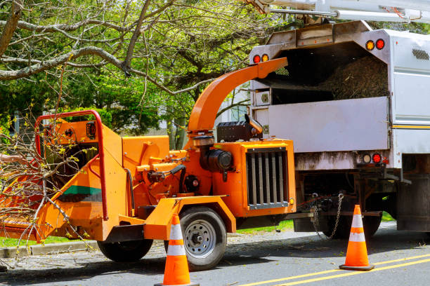 Best Tree and Shrub Care  in Goodlettsville, TN
