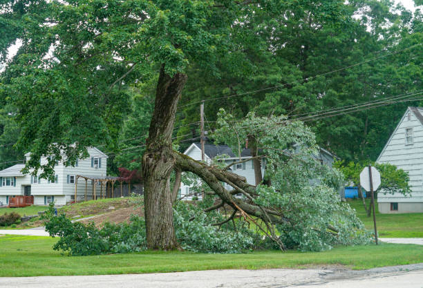 Best Seasonal Cleanup (Spring/Fall)  in Goodlettsville, TN